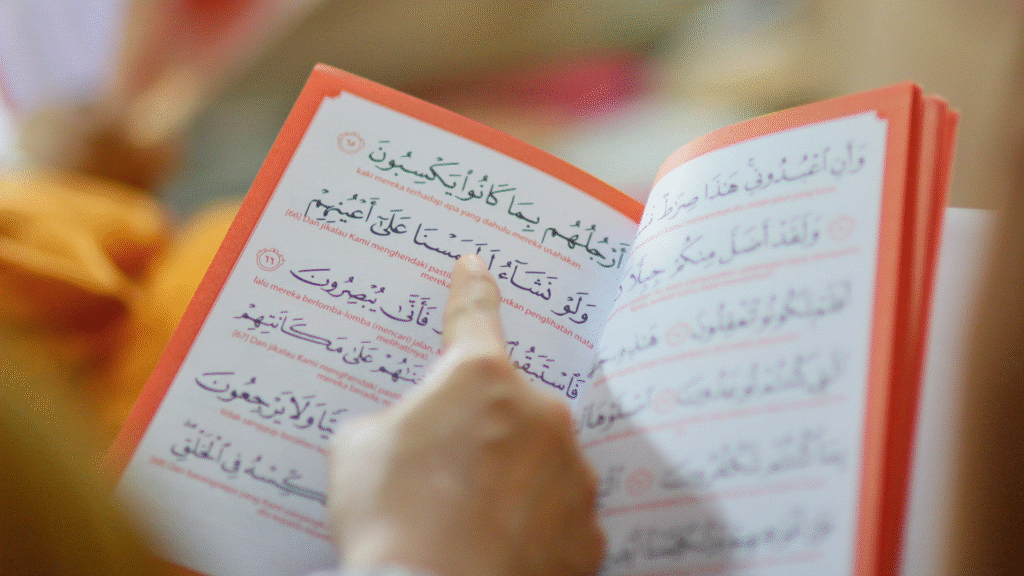 Aprender árabe en España online